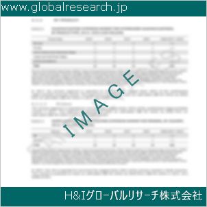 グローバルリサーチ調査資料のイメージ